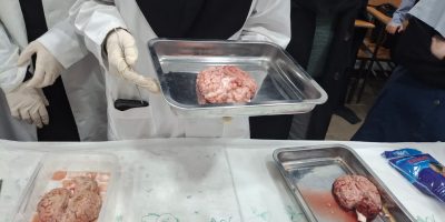 photo_2026-02-14_11-36-15